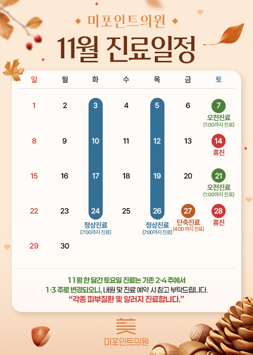 11월 진료일정